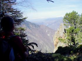 photo coins arrondis